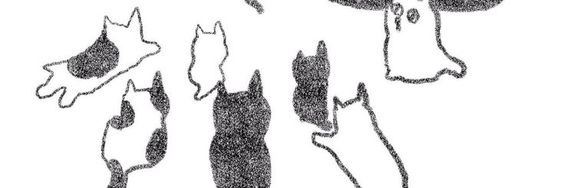 Lou 🪐 banner
