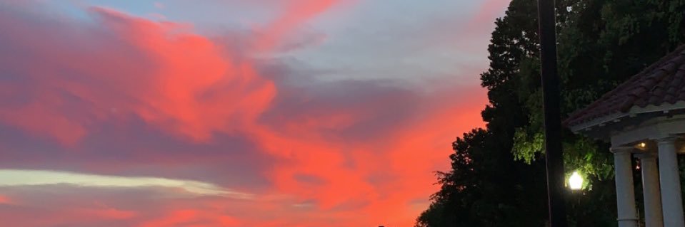 morganmcbrayer's profile banner image