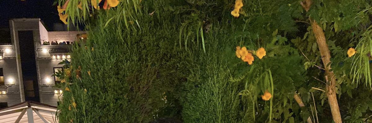 OjWhynot's profile banner image