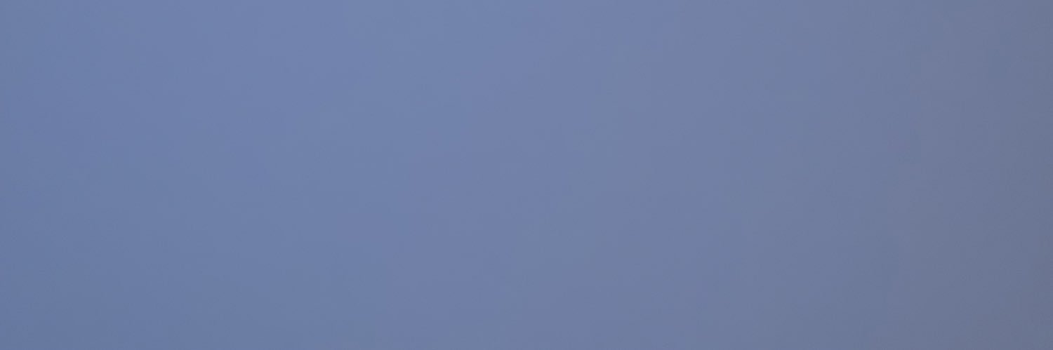 Chelsea Goydos banner