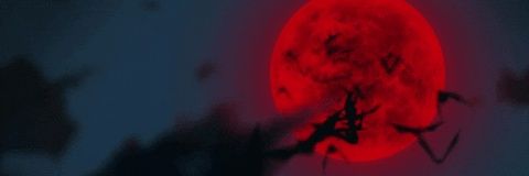 mirayamax's profile banner image