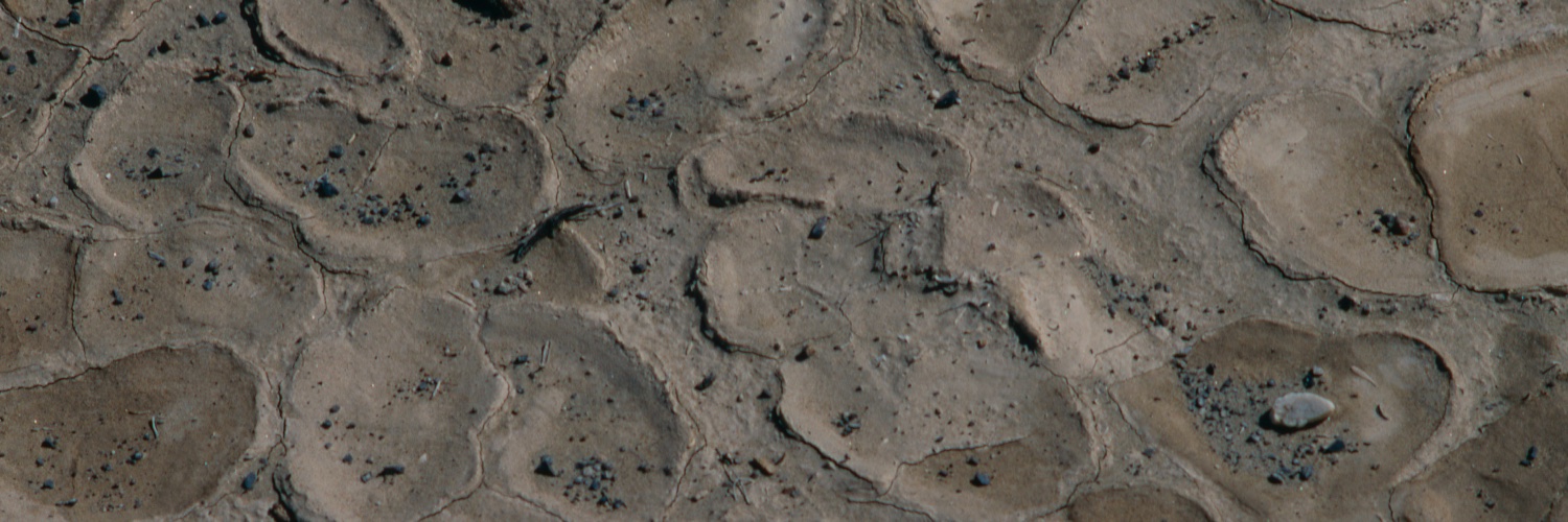 Charles Delwiche he/him banner