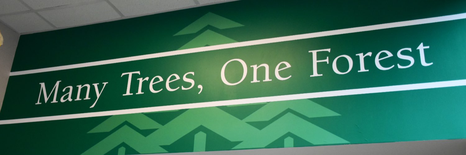 Brookwood Forest Elementary banner