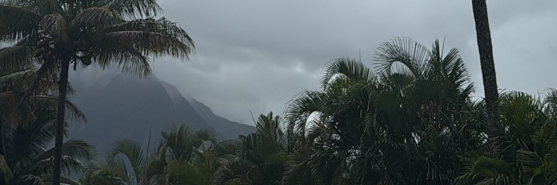 valerialimonn's profile banner image