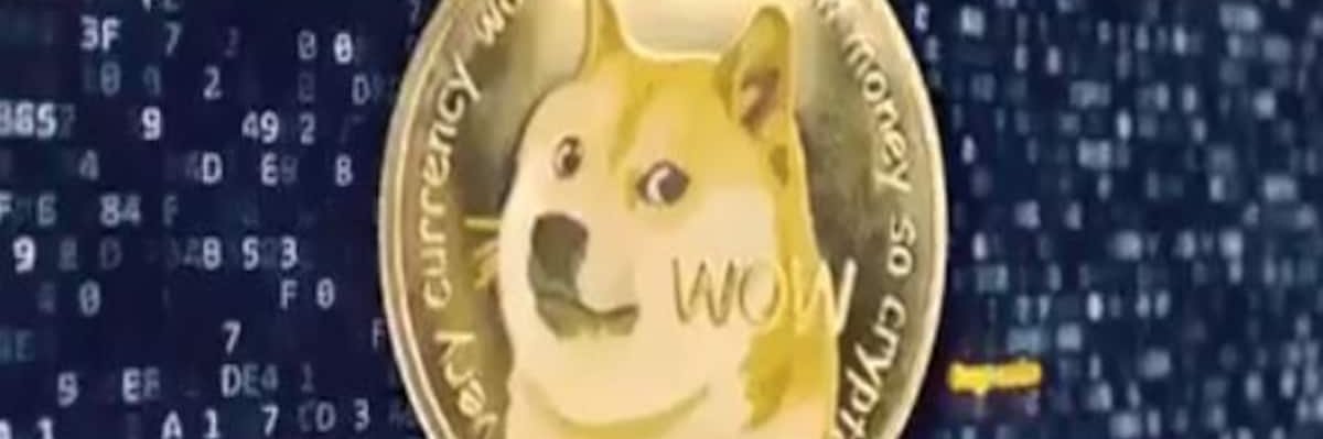 CBiboson's profile banner image