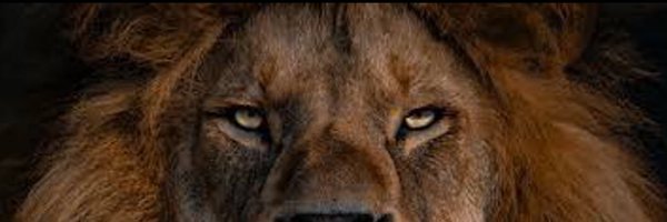 ElyonWhite Profile Banner