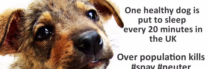 protectapup's profile banner image
