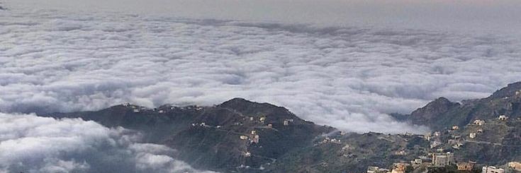 . banner