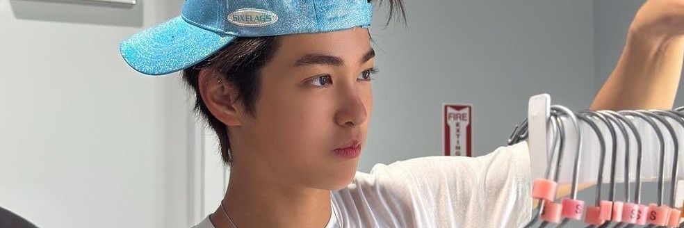 d. banner