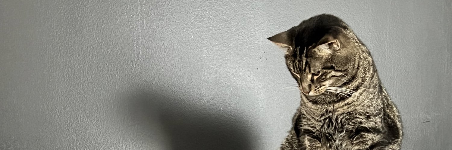 MightysChoppa's profile banner image