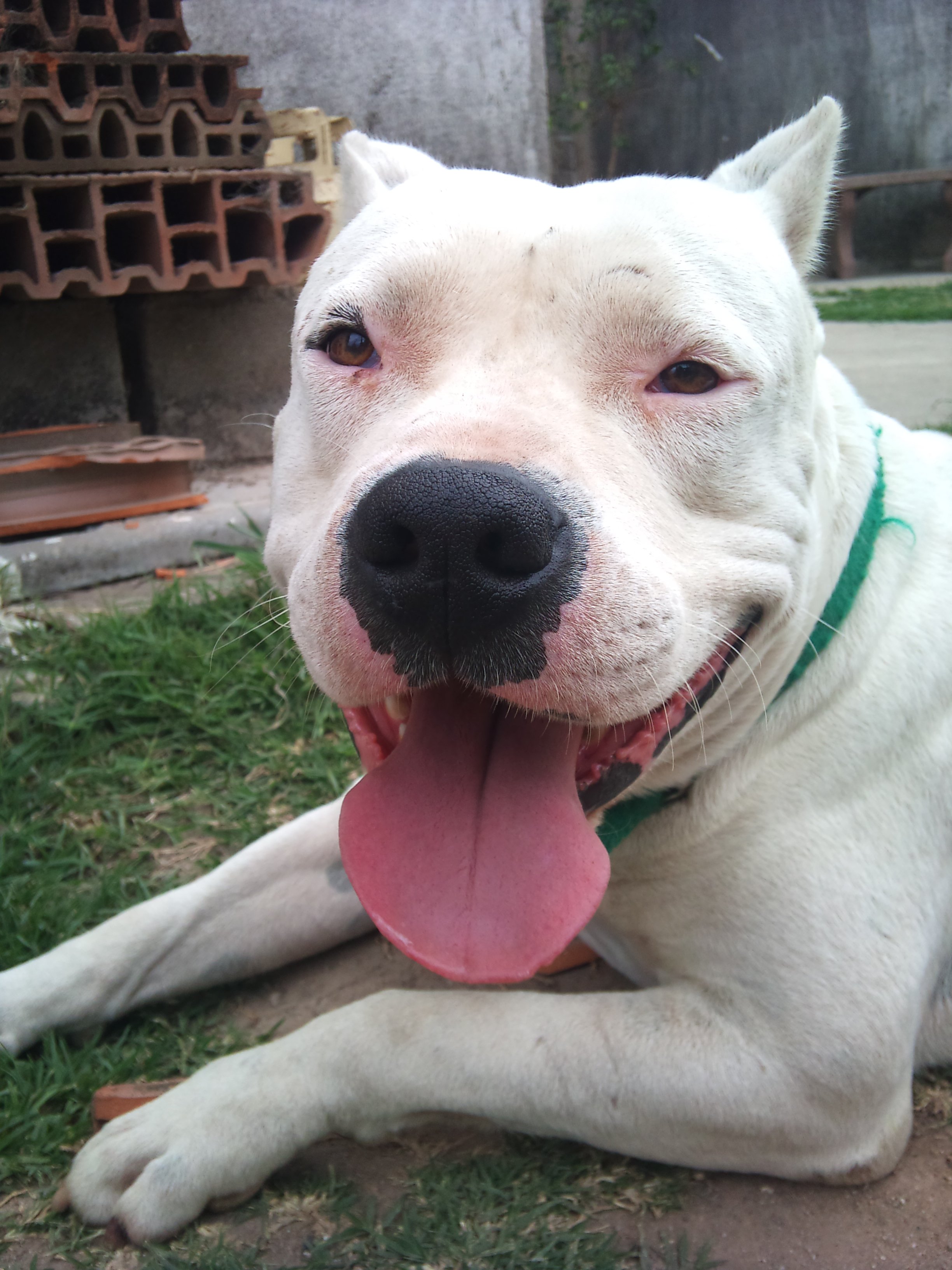 caroalmada5's profile banner image