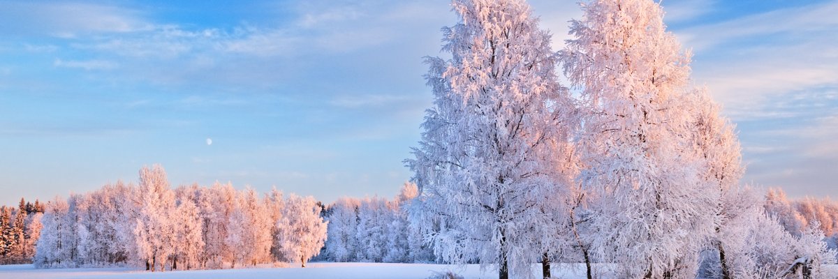 Foothills County banner