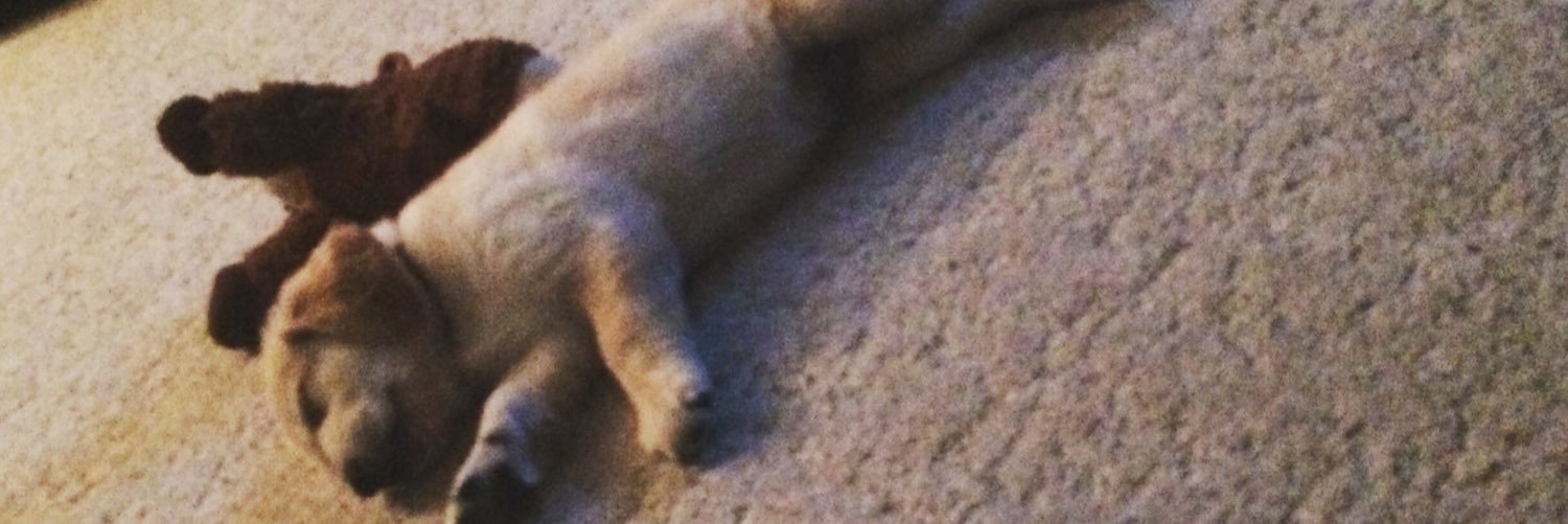 GarrettBohr's profile banner image