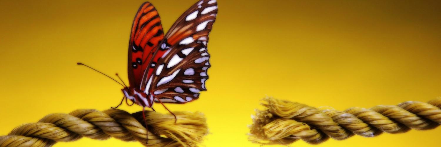 mscharm24's profile banner image