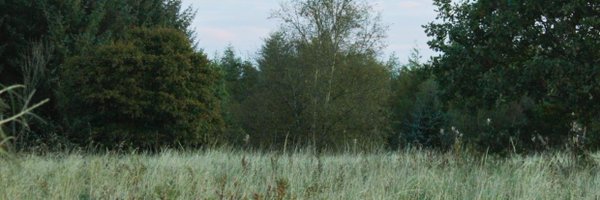 erguov Profile Banner