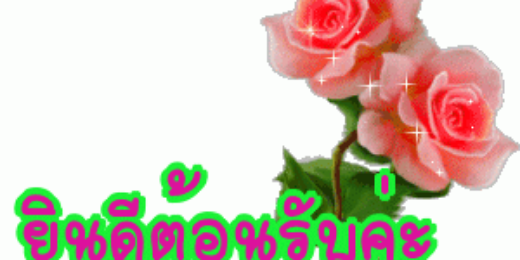 kristshna's profile banner image
