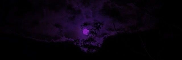 ßane 🦇 banner