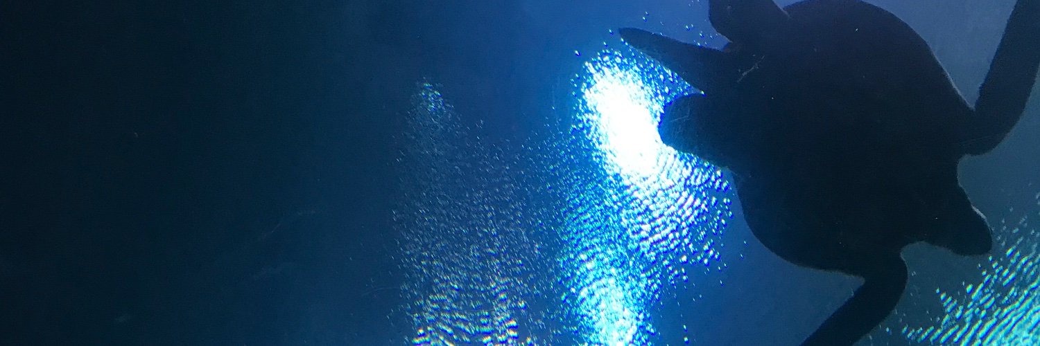 lemonslush's profile banner image