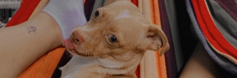 Miranda9_9's profile banner image