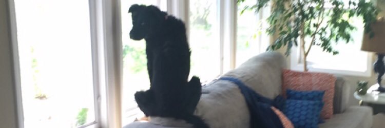 AngelandingHere's profile banner image