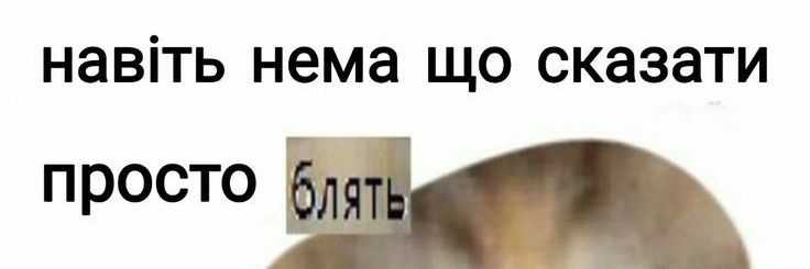 Руна 🌻's banner