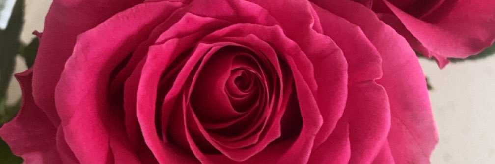 bethany_nolt's profile banner image