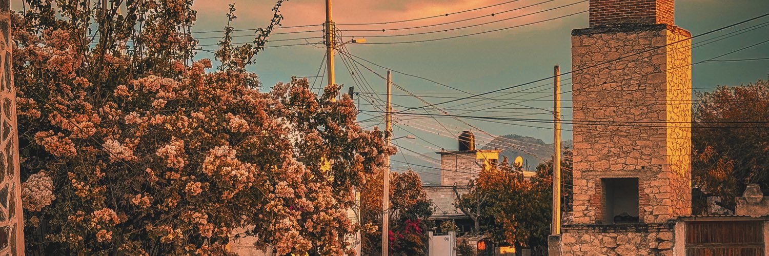Manuviz7's profile banner image