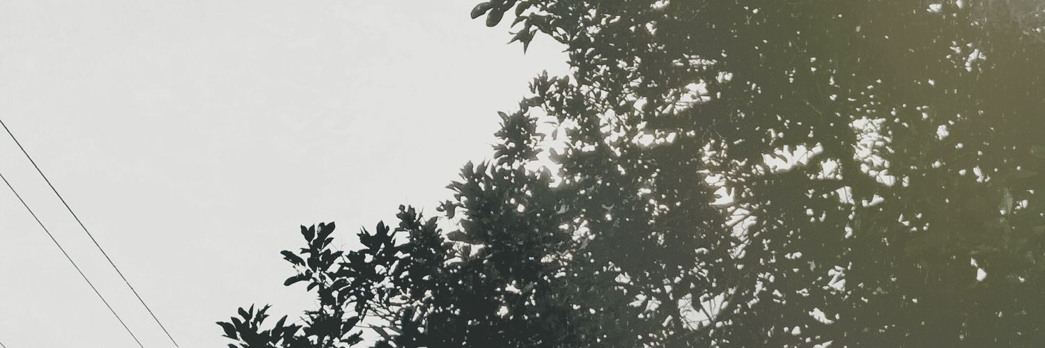 Gummyow3's profile banner image