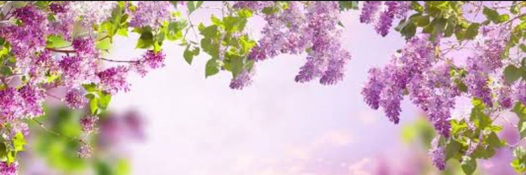HS0XSJ's profile banner image