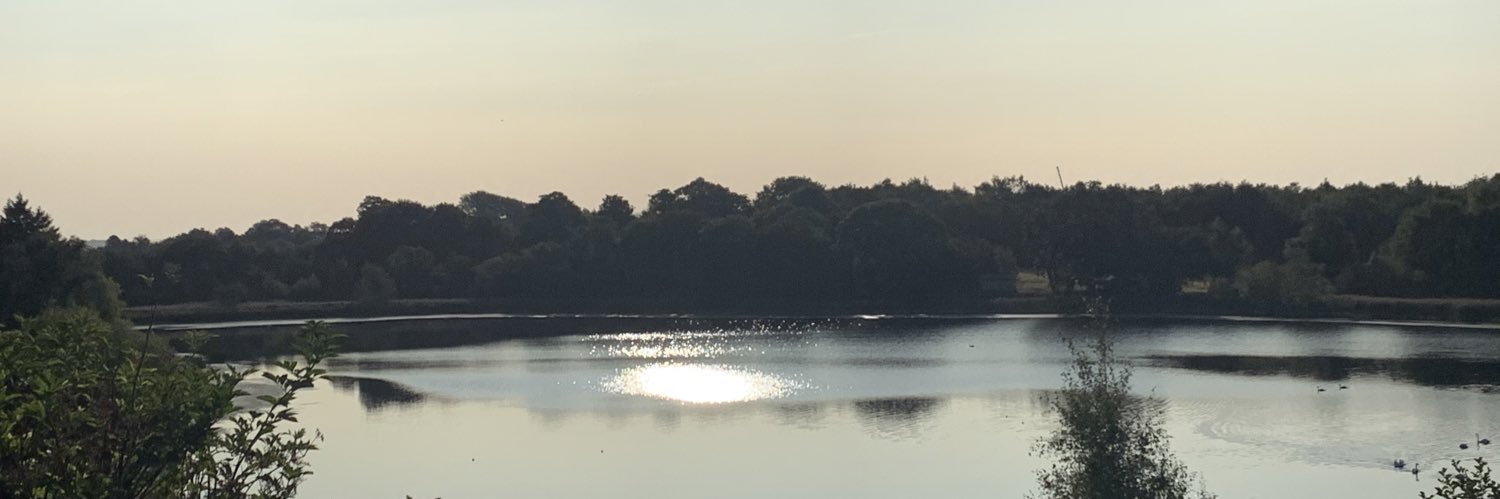 fifimorrison's profile banner image