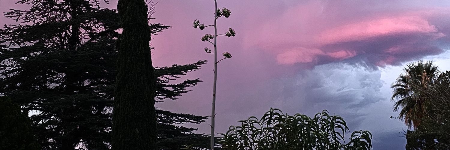 Shorteesdl's profile banner image