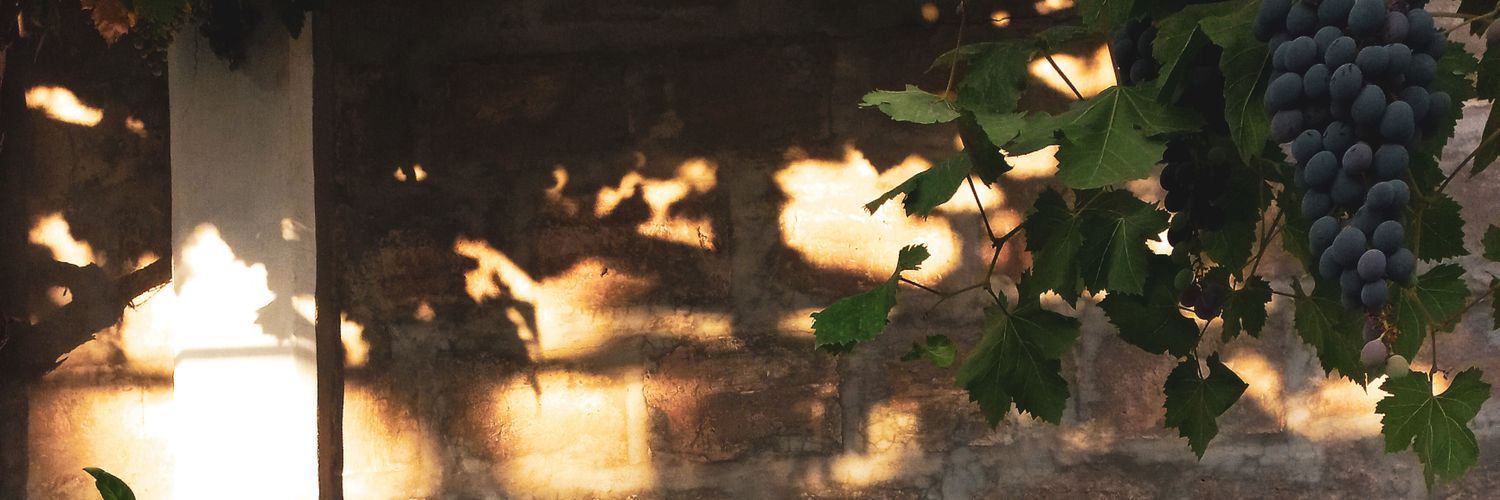 camirojasdn's profile banner image