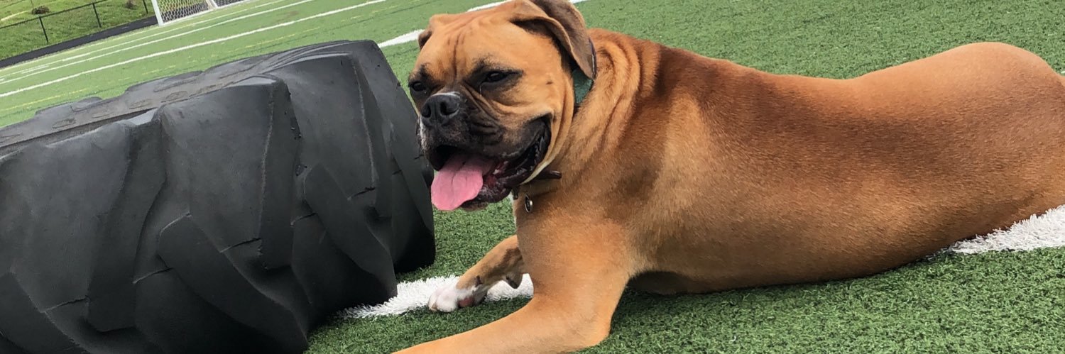 bailey_hoch44's profile banner image