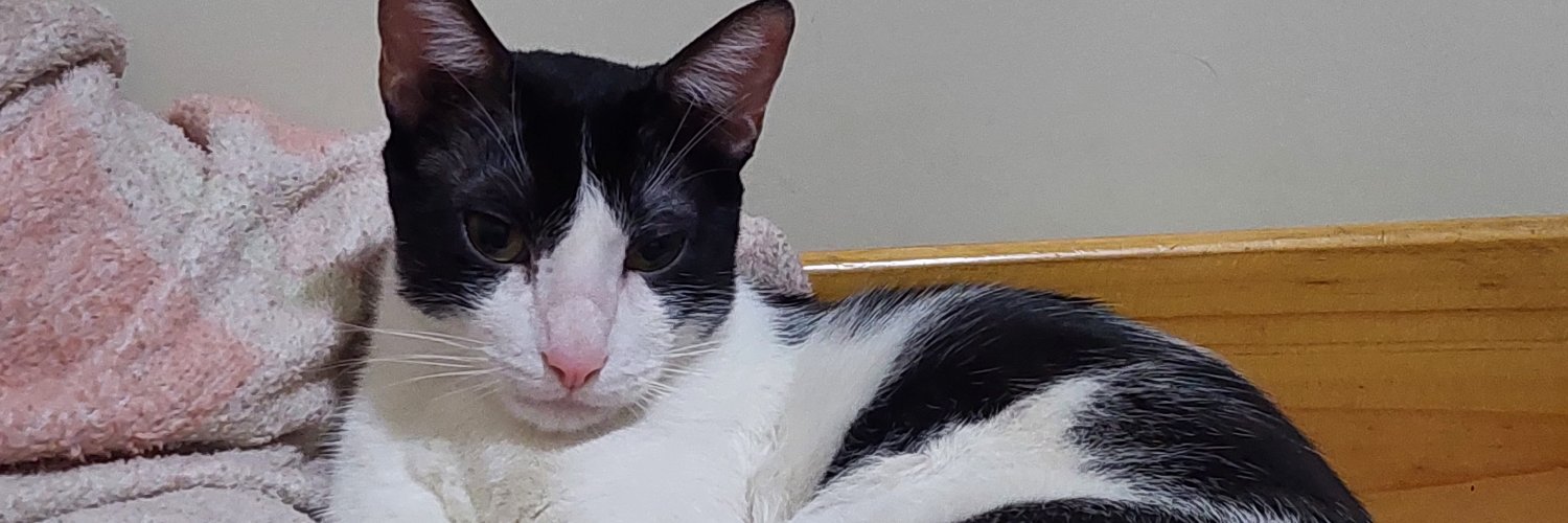 AbbyMilly96's profile banner image