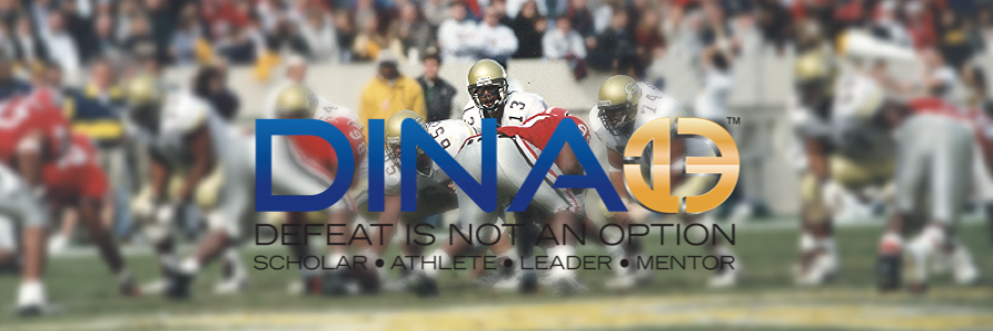 DINAO13's profile banner image