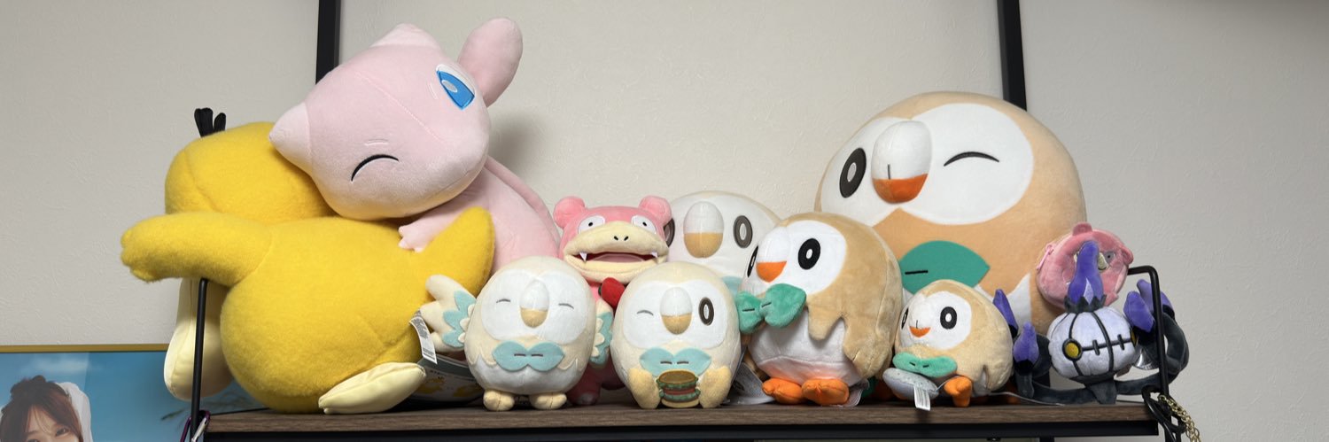 NoTrAsHn's profile banner image