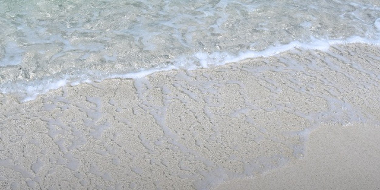 WeedSusan's profile banner image