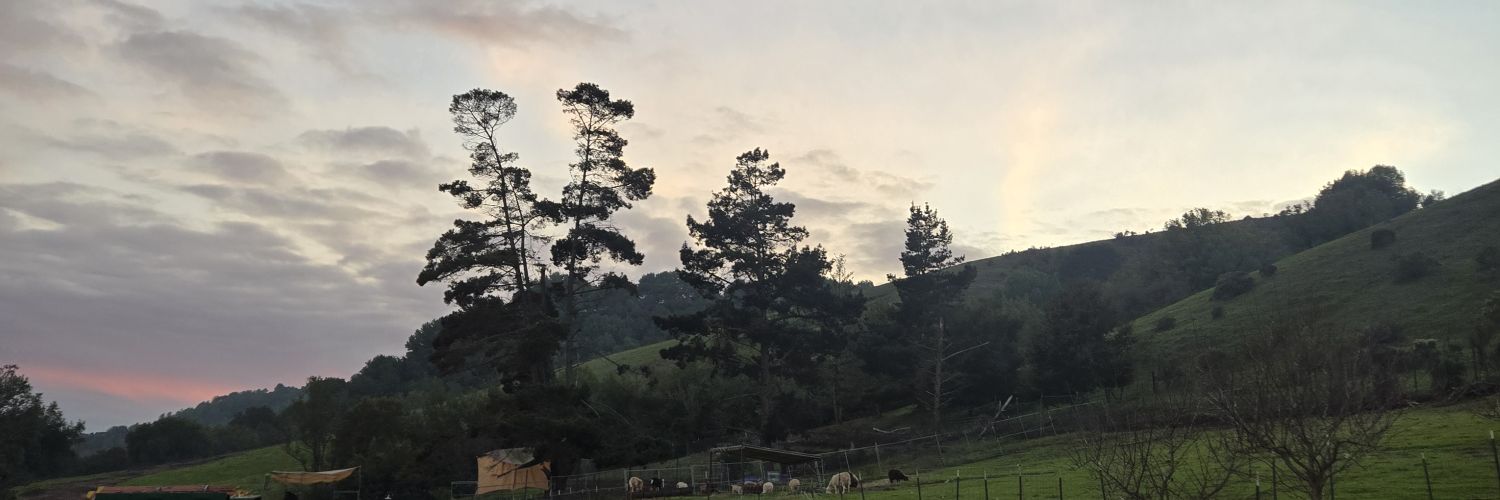 lovelydeez's profile banner image