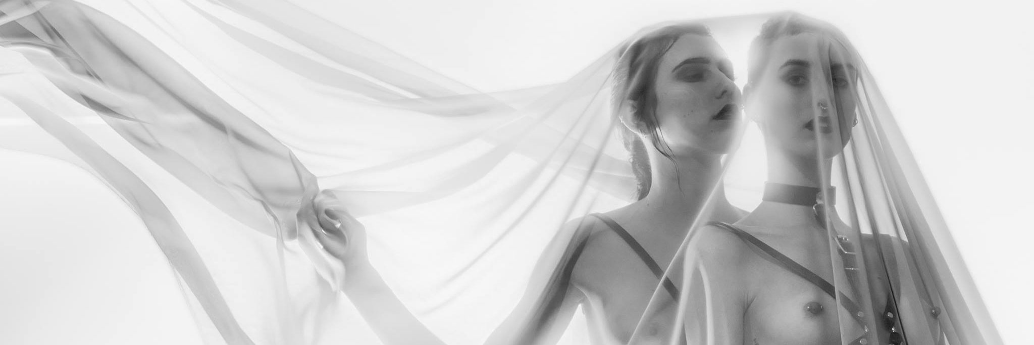 hausofelle's profile banner image