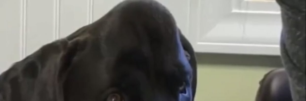 hallb_'s profile banner image