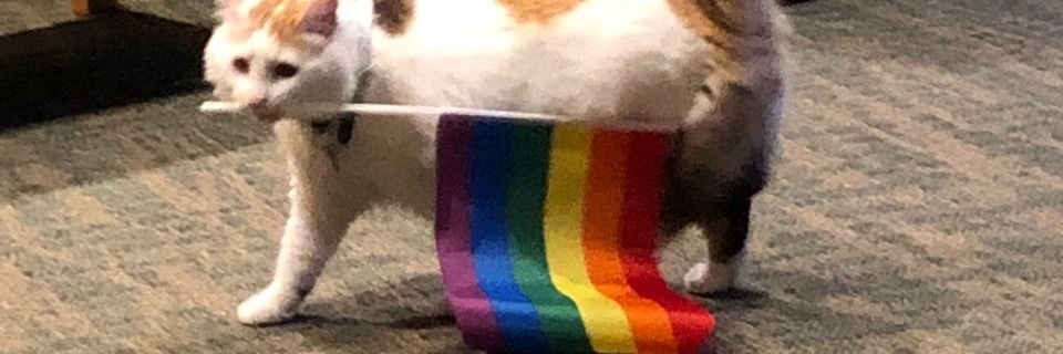 CallmeKirasz's profile banner image