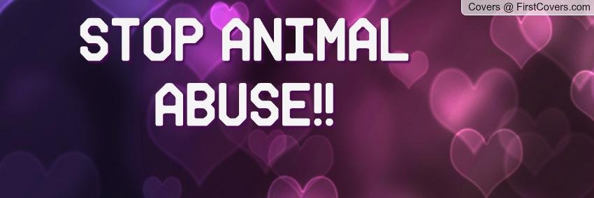STOP Animal Cruelty banner