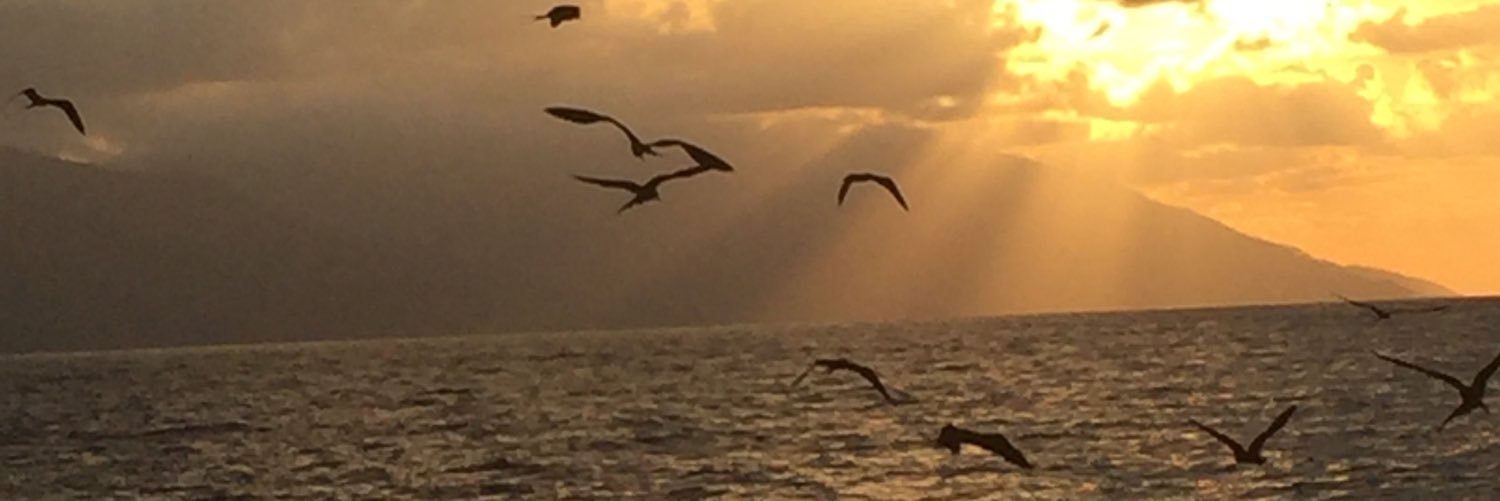 lteasda's profile banner image