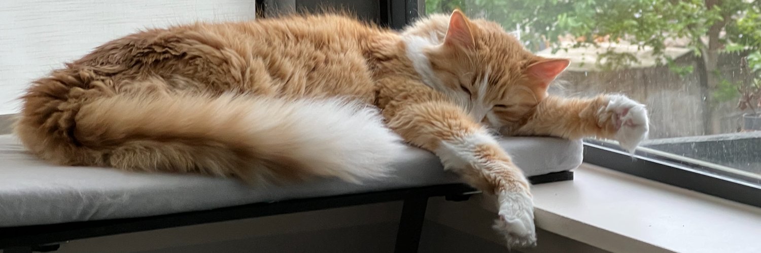 Eric Gudmundson banner