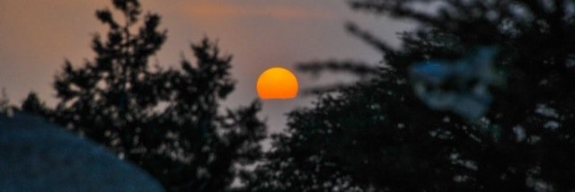 علي الشيبي banner