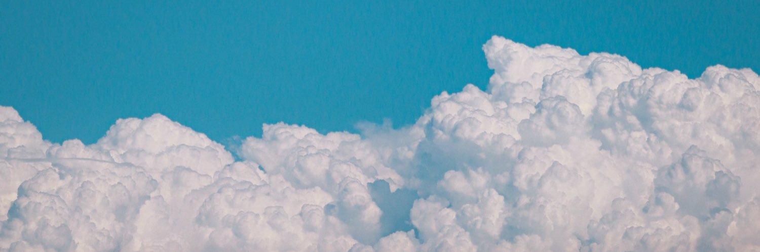 T55927073's profile banner image