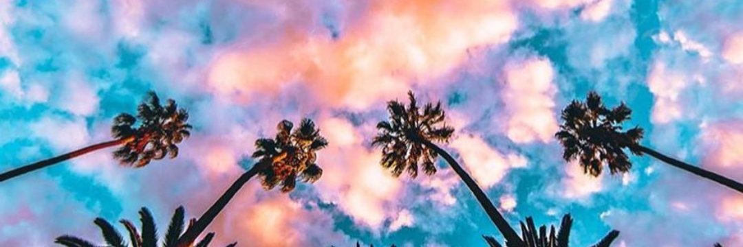 jenscuts's profile banner image