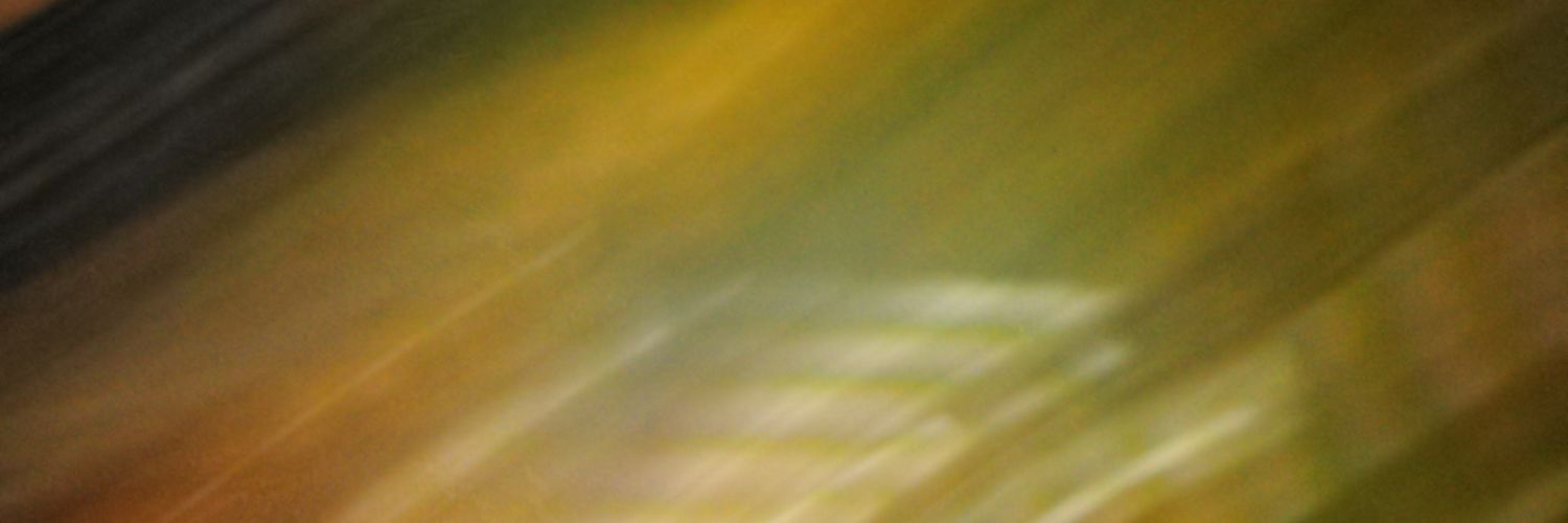 minichann32's profile banner image