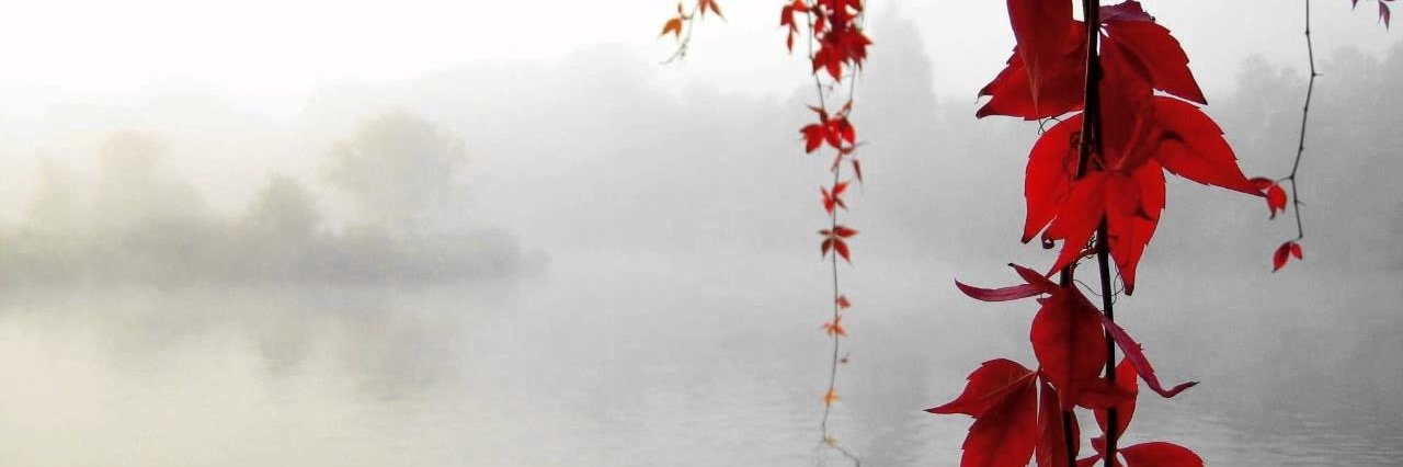 GrednD's profile banner image