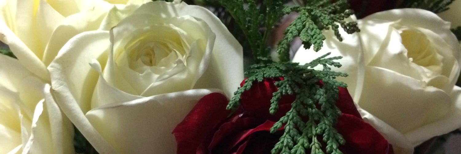 danitzia18's profile banner image